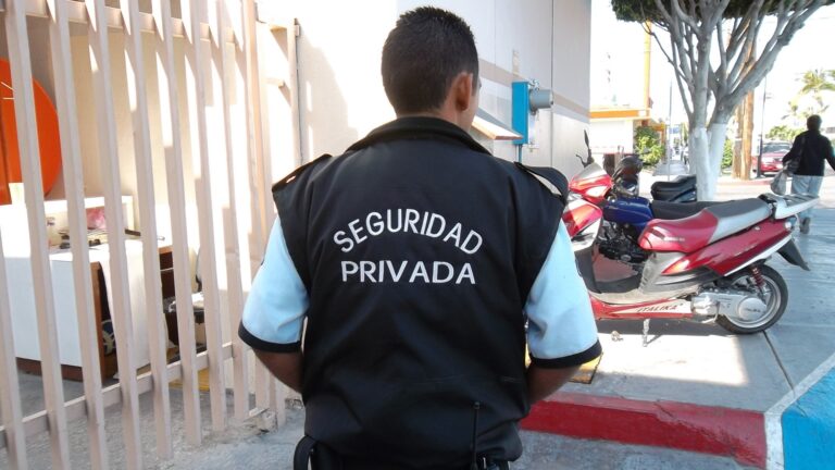 Desaf Os Del Para Los Servicios De Seguridad Privada Peasa